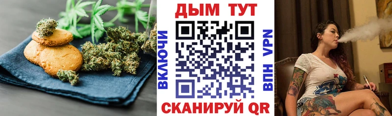 площадка состав  Тетюши  Cannafood конопля 