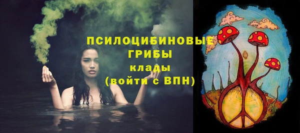 прущая мука Новодвинск