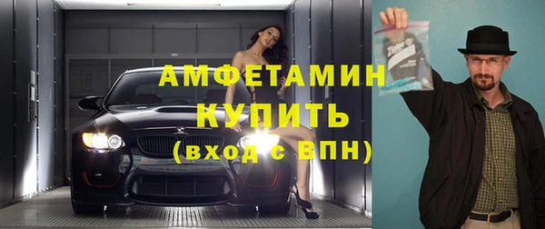 шишки Новозыбков