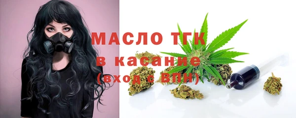 шишки Новозыбков