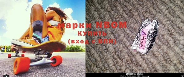 шишки Новозыбков