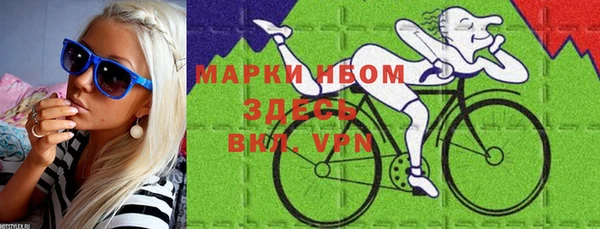 шишки Новозыбков