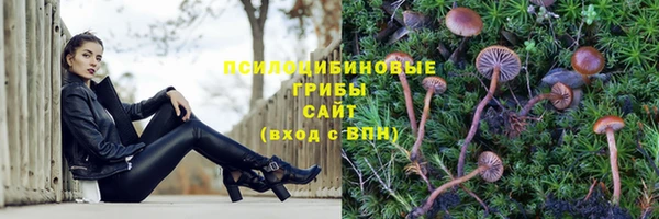 прущая мука Новодвинск
