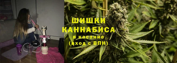 шишки Новозыбков