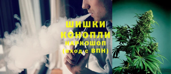 шишки Новозыбков