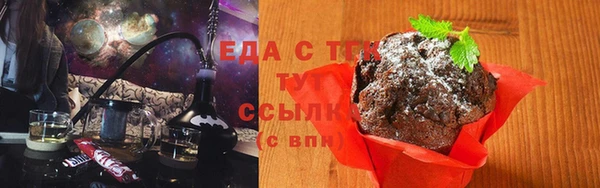 шишки Новозыбков