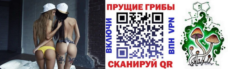 Галлюциногенные грибы Cubensis  omg ссылка  Тетюши  сколько стоит 